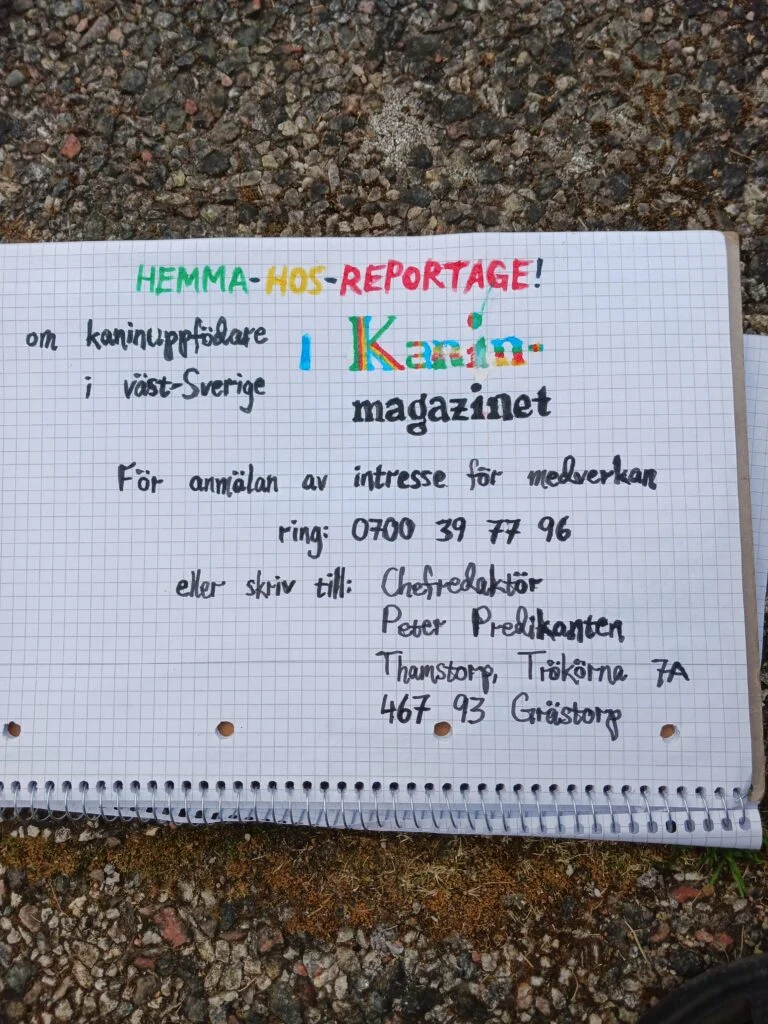 Reklam 1-2 💸
